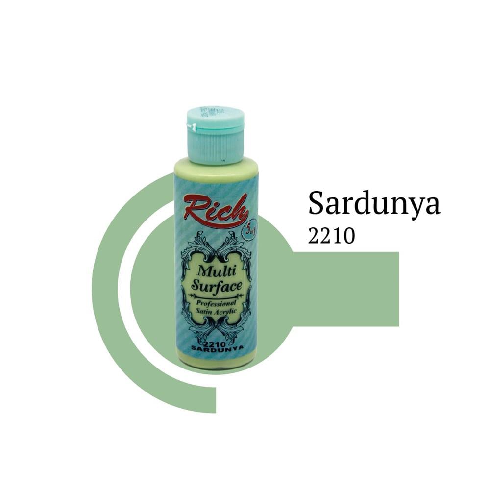 Rich Multi Surface 120 cc Boya - Sardunya 2210