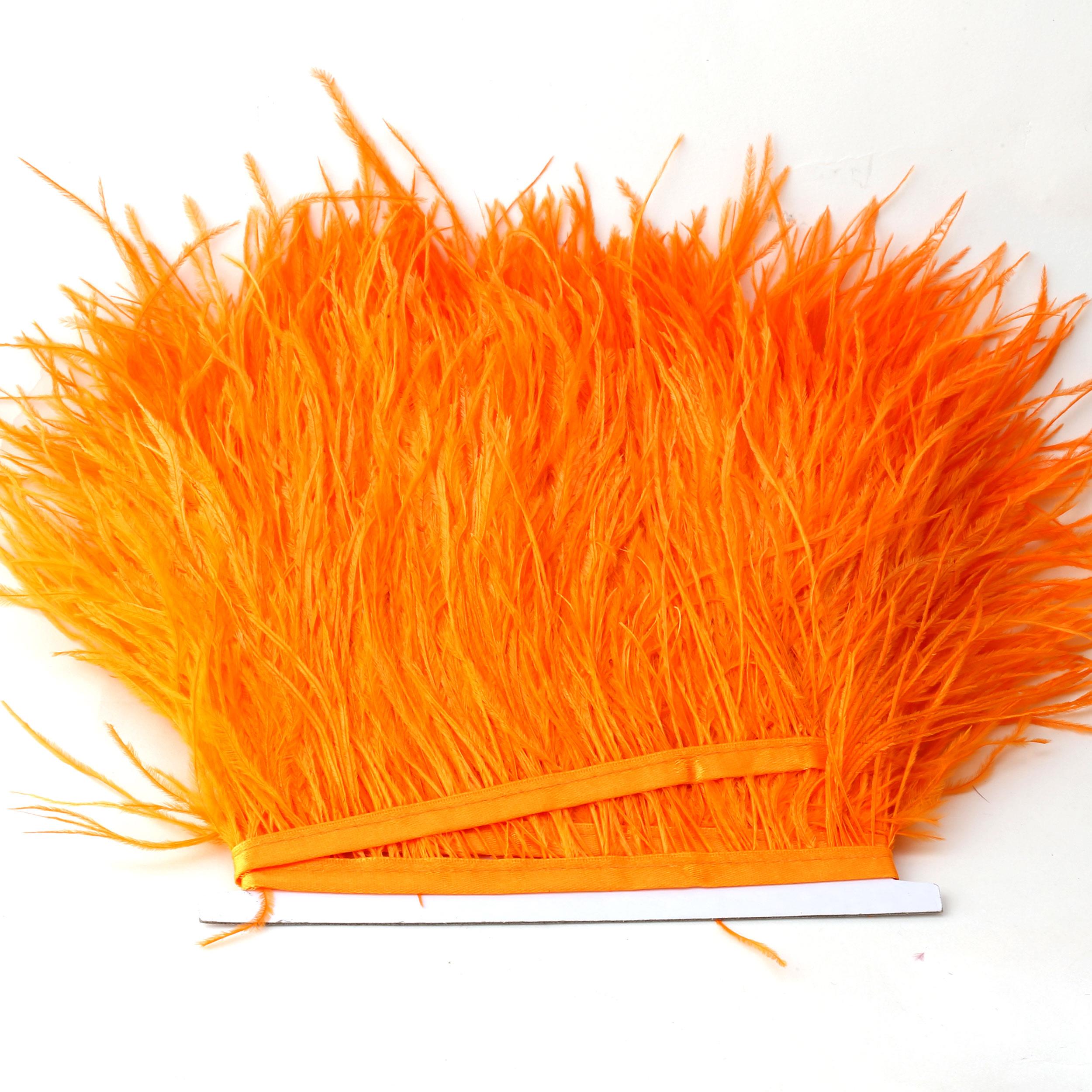Turuncu Devekuşu Tüyü Şerit