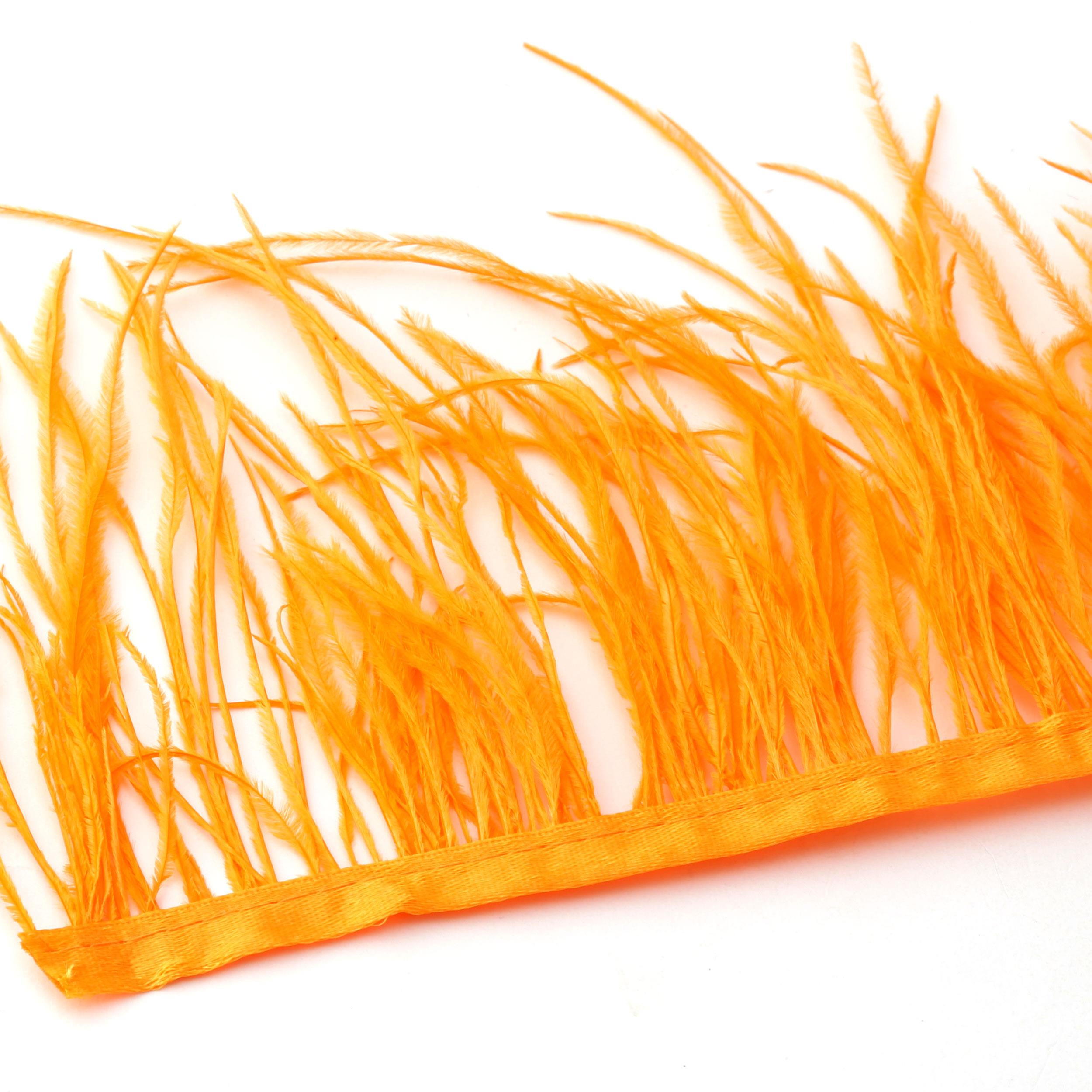 Turuncu Devekuşu Tüyü Şerit