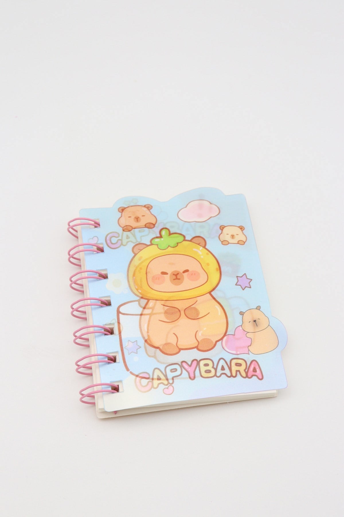 CAPY BARA KÜÇÜK NOT DEFTERİ