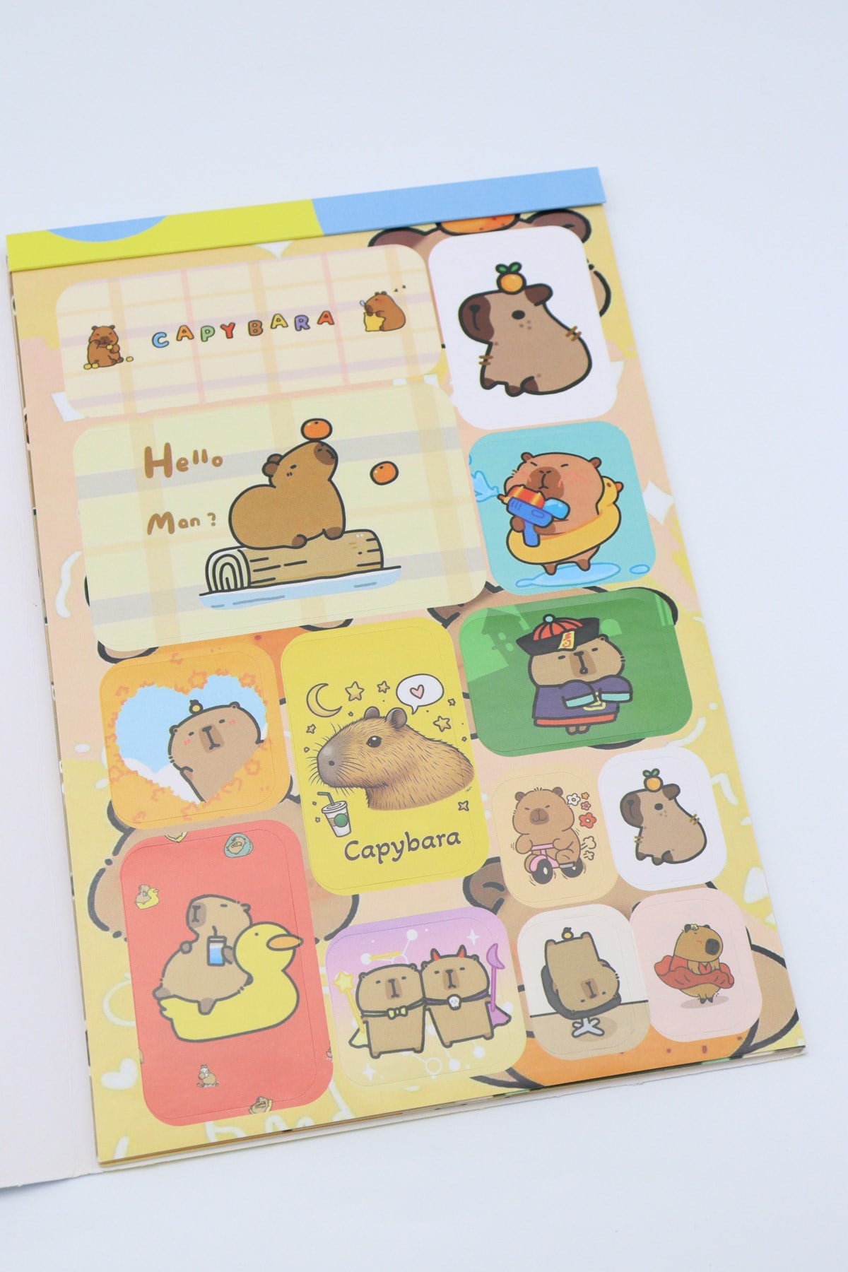 CAPY BARA STİCKER ALBÜM