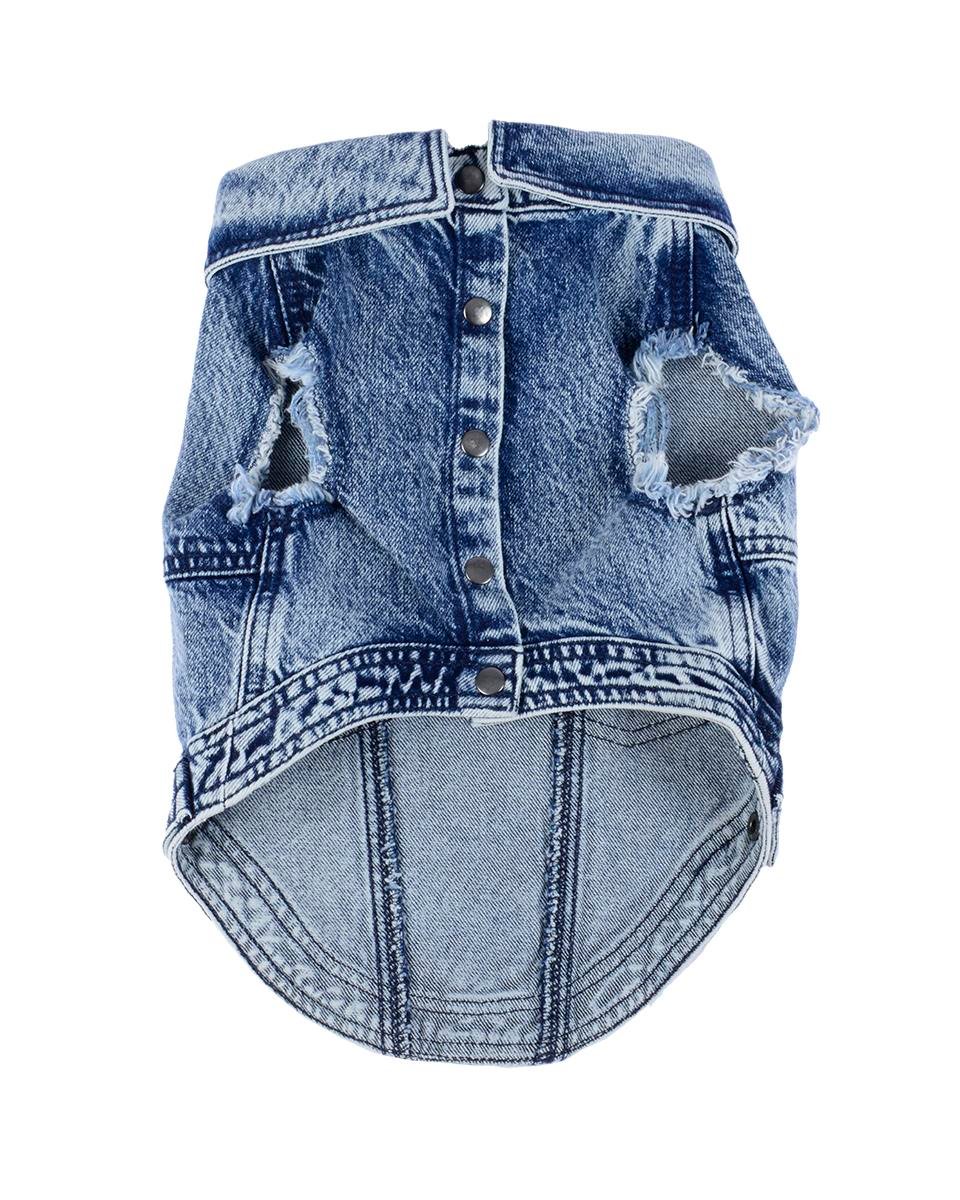 DOG OR DIE MOTTOLU DENİM KÖPEK CEKETİ