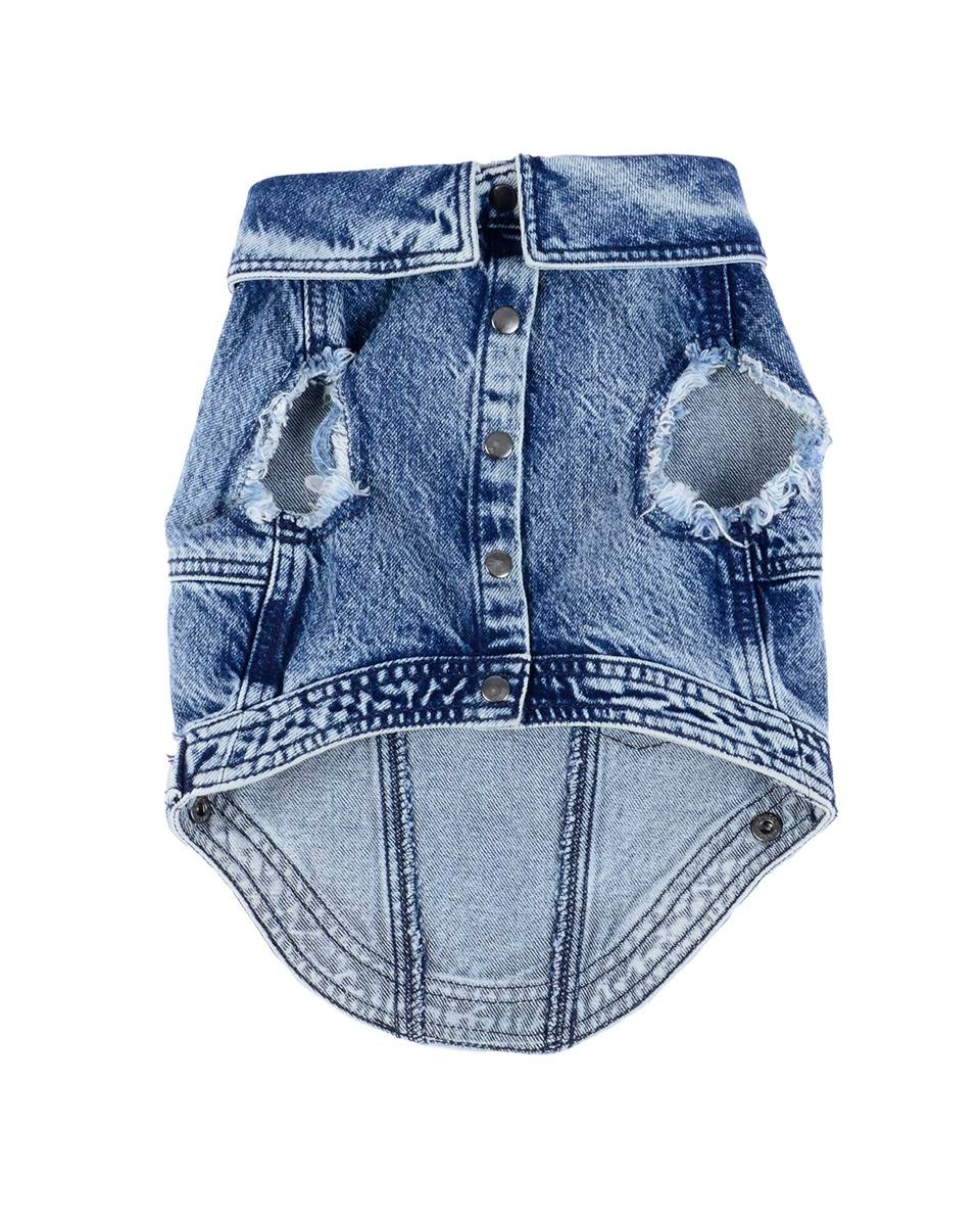 LITTLE DUDE MOTTOLU DENİM KÖPEK CEKETİ