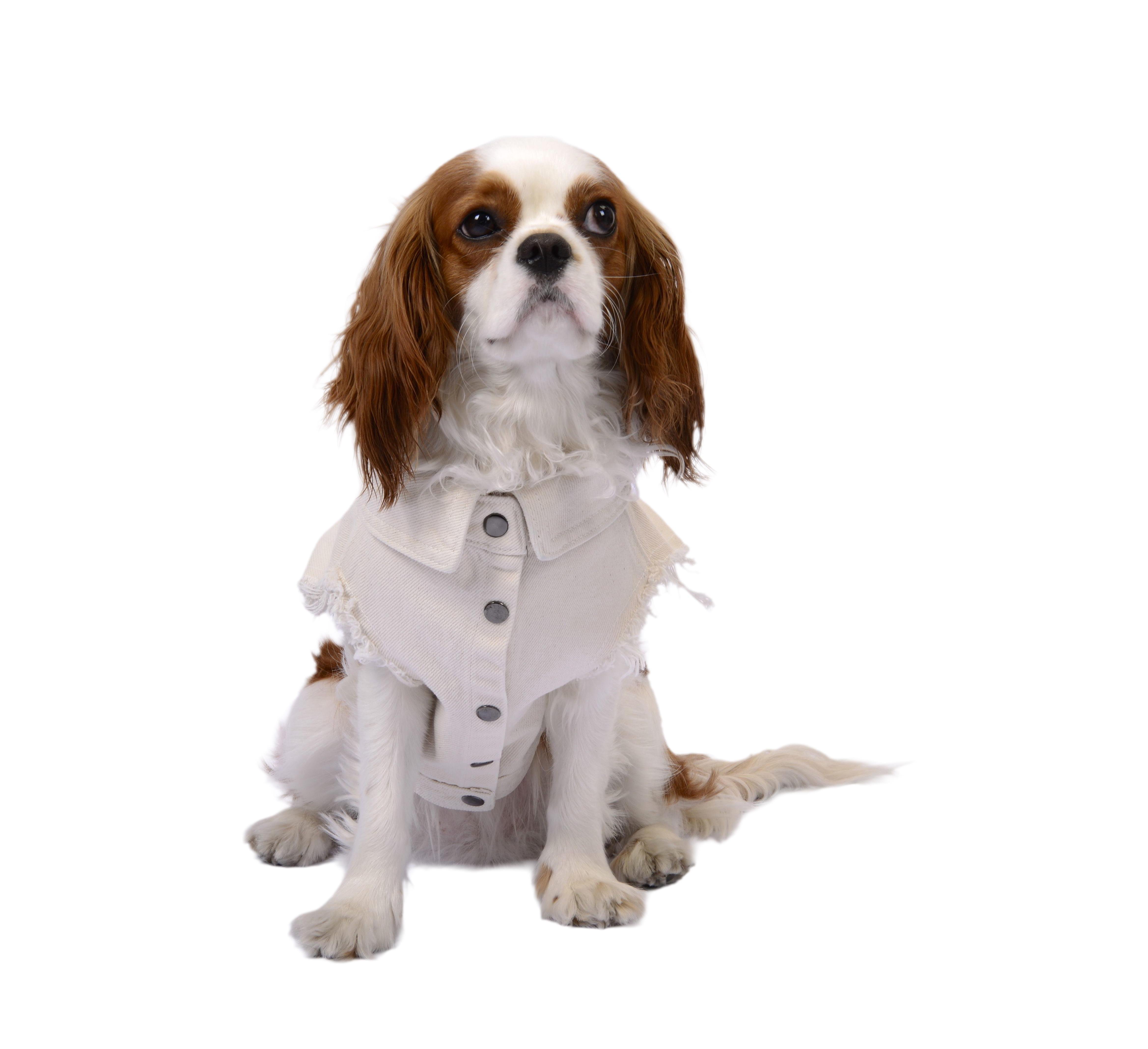 Naturel Dog Jacket