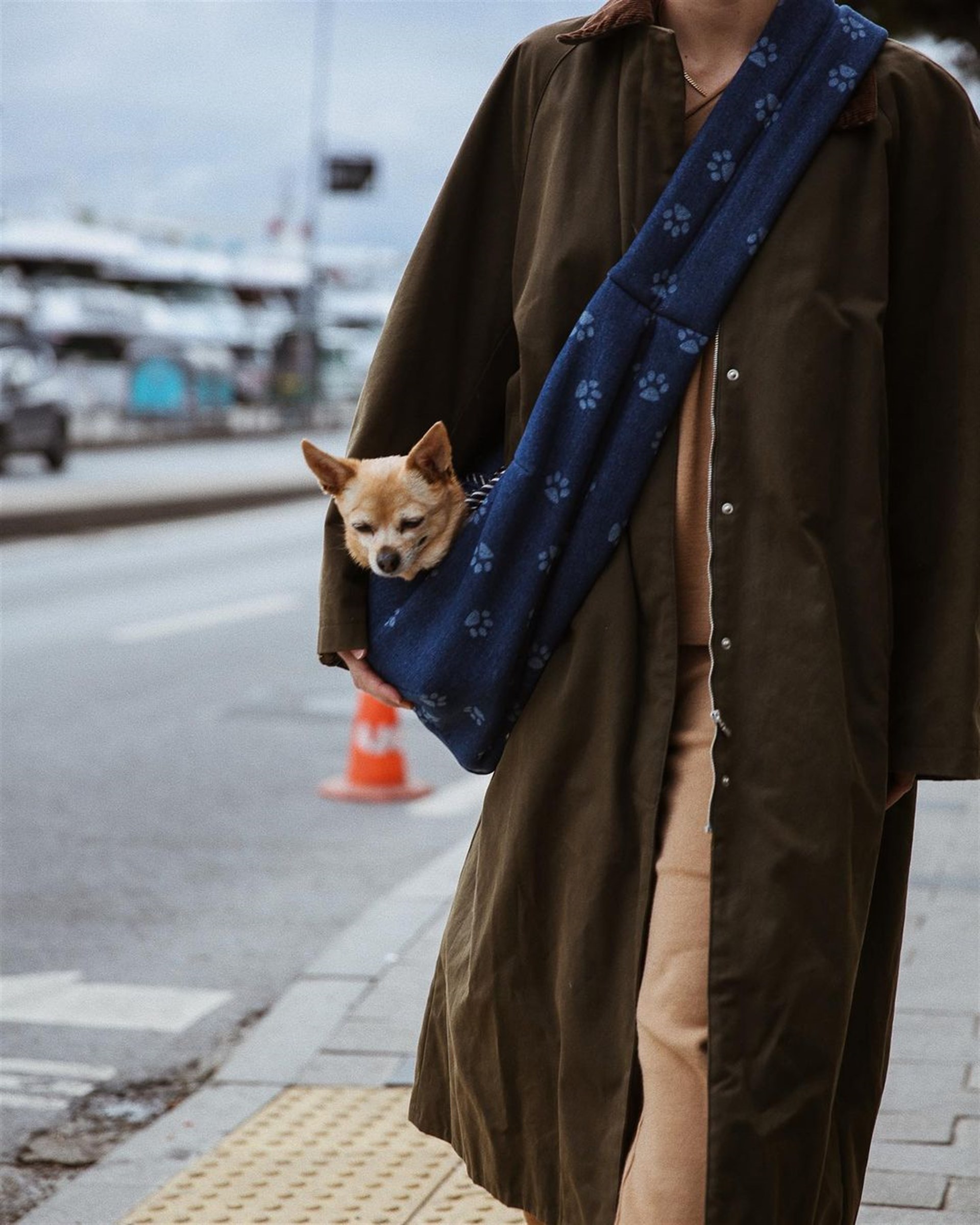 Pati Patterned Dog Bag