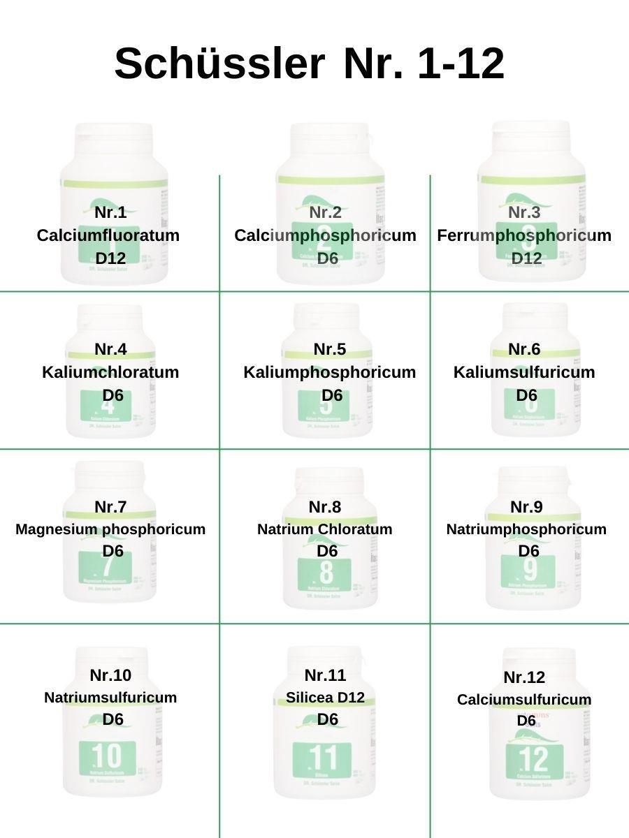 SCHÜSSLER DR. TUZLARI NR. 1-12  FONKSİYONEL EKONOMİK SET ( 12 KUTU X 400 TABLET)