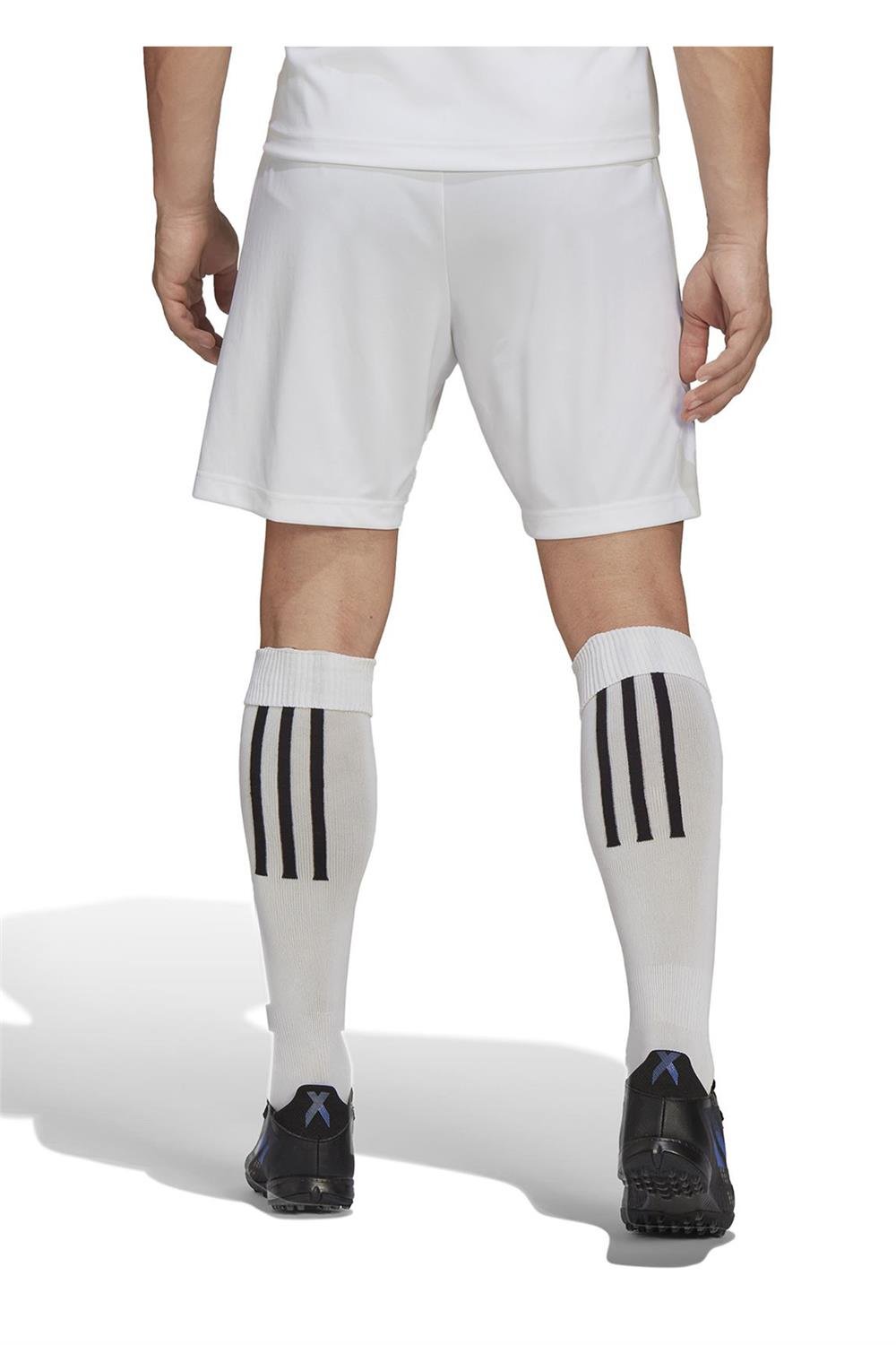 Adidas Ent22 Sho Erkek Şort Hg6295