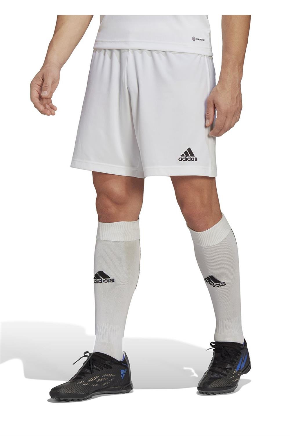 Adidas Ent22 Sho Erkek Şort Hg6295