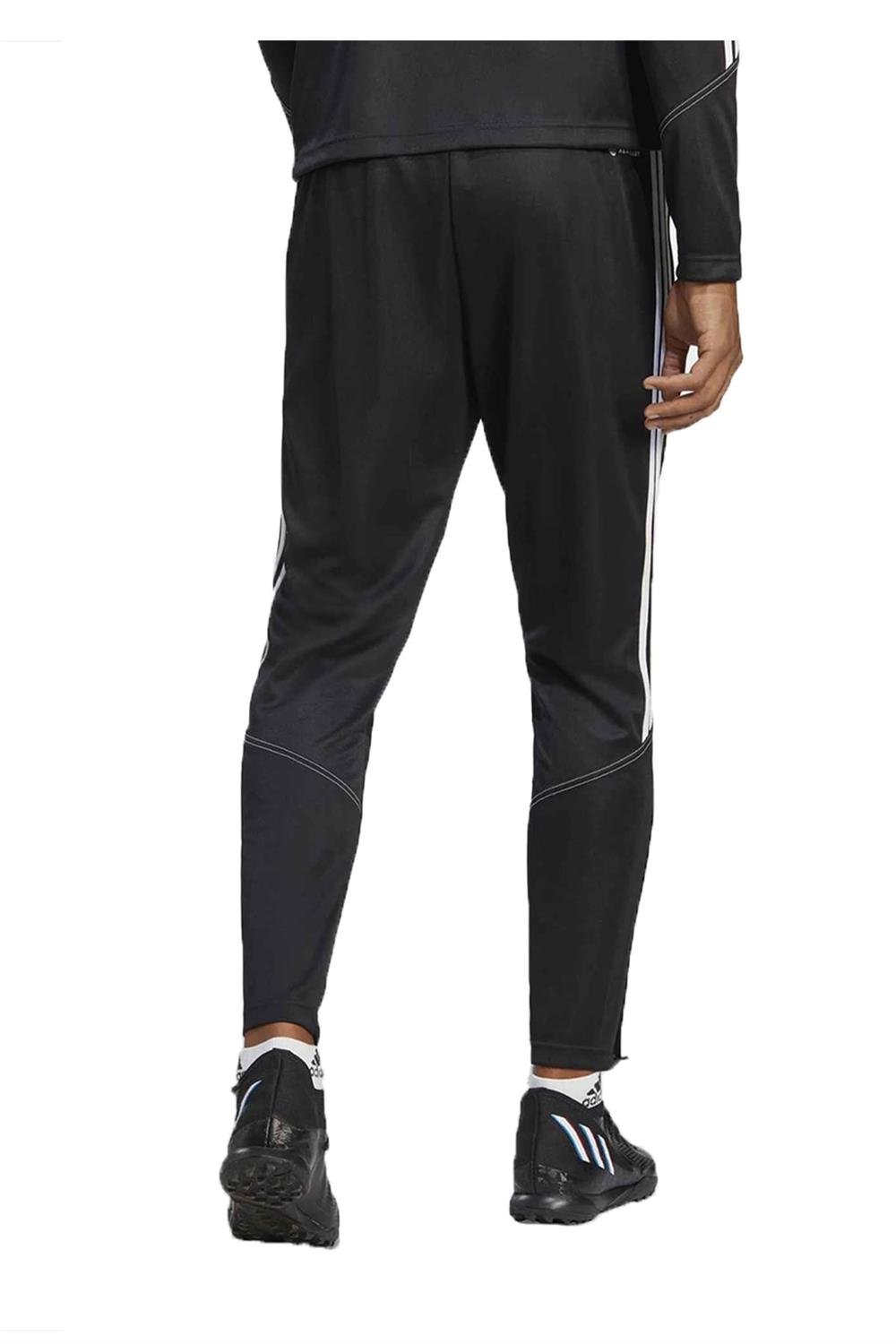 Adidas Tıro23 Cb Trpnt Erkek Eşofman Altı Hs3619