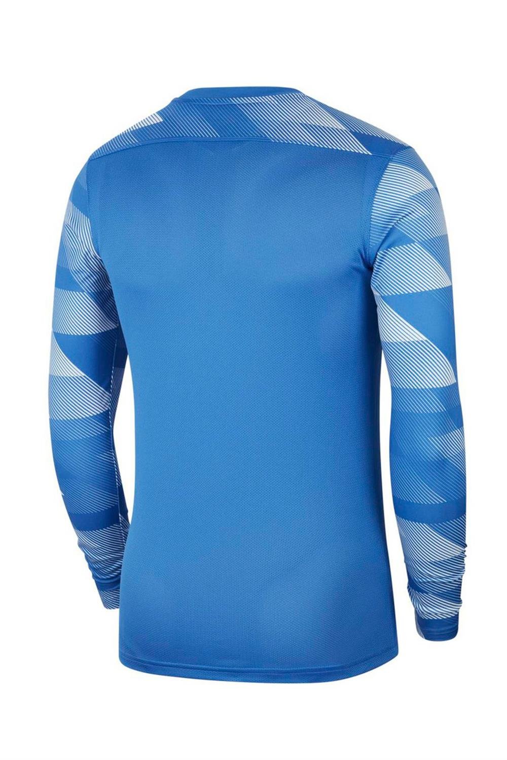 Nike Dri-Fıt Park Iv Erkek Kaleci Forması Cj6066-463