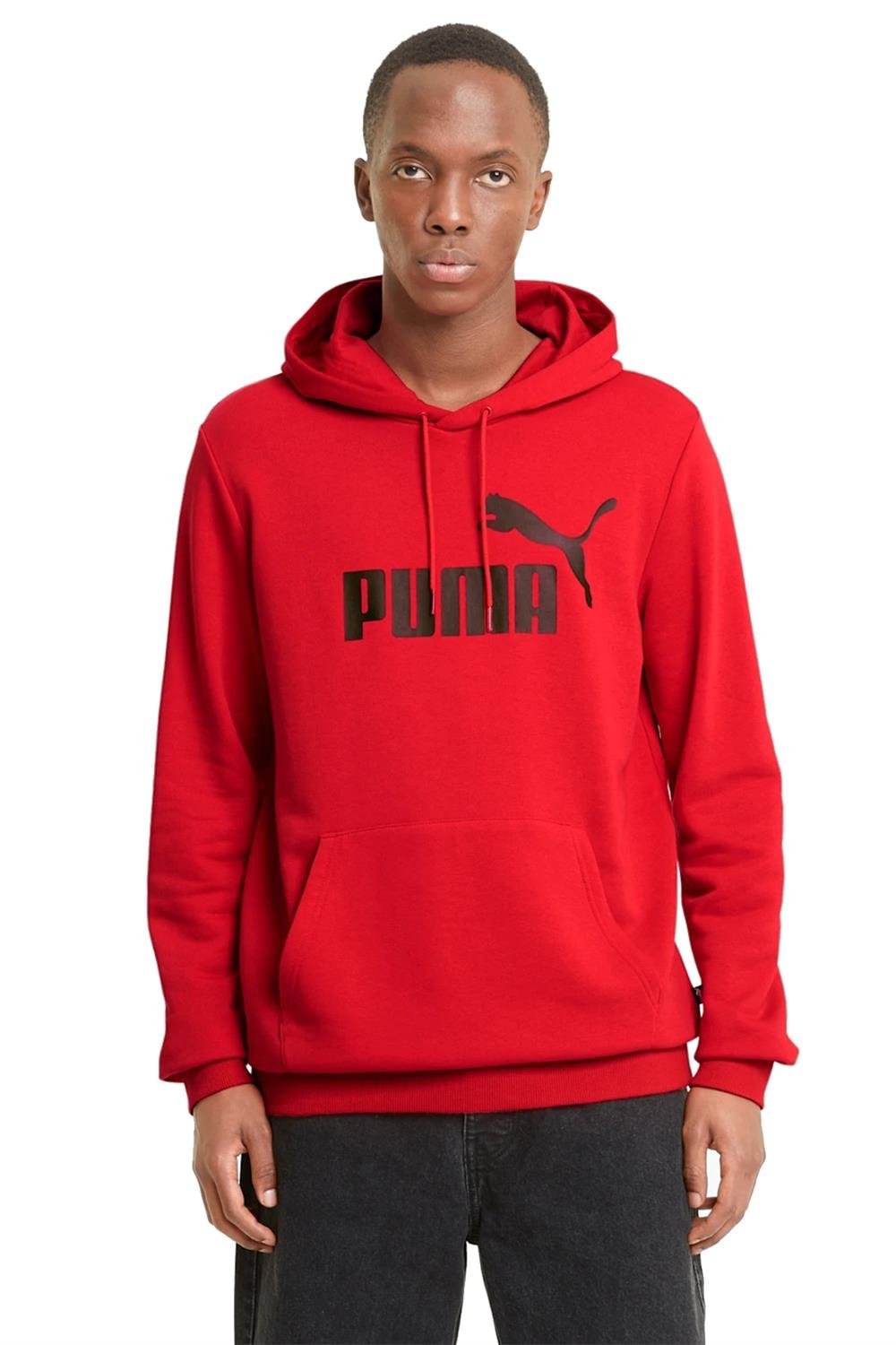 Puma Ess Big Logo Hoodie Tr Erkek Sweat Shirt 58668811