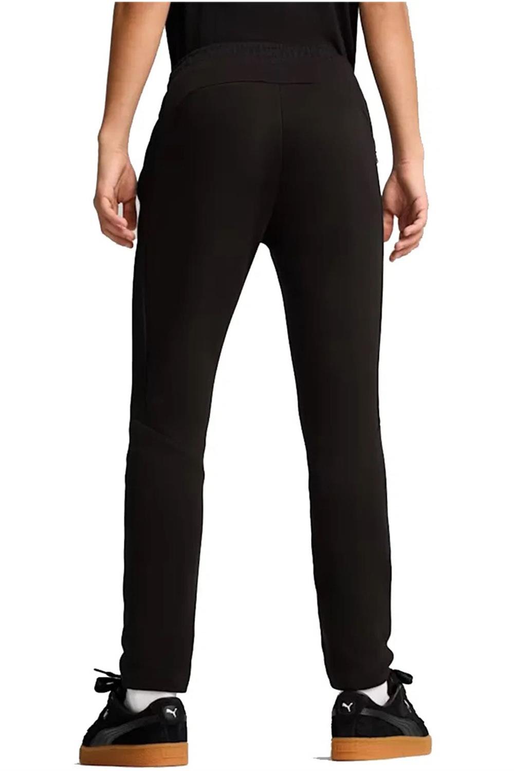 Puma Evostrıpe Pants Erkek Eşofman Altı 68170201