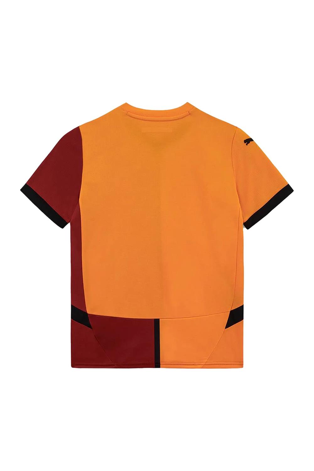 Puma Galatasaray 2024/2025 Çocuk İç Saha Parçalı Forma 77965901