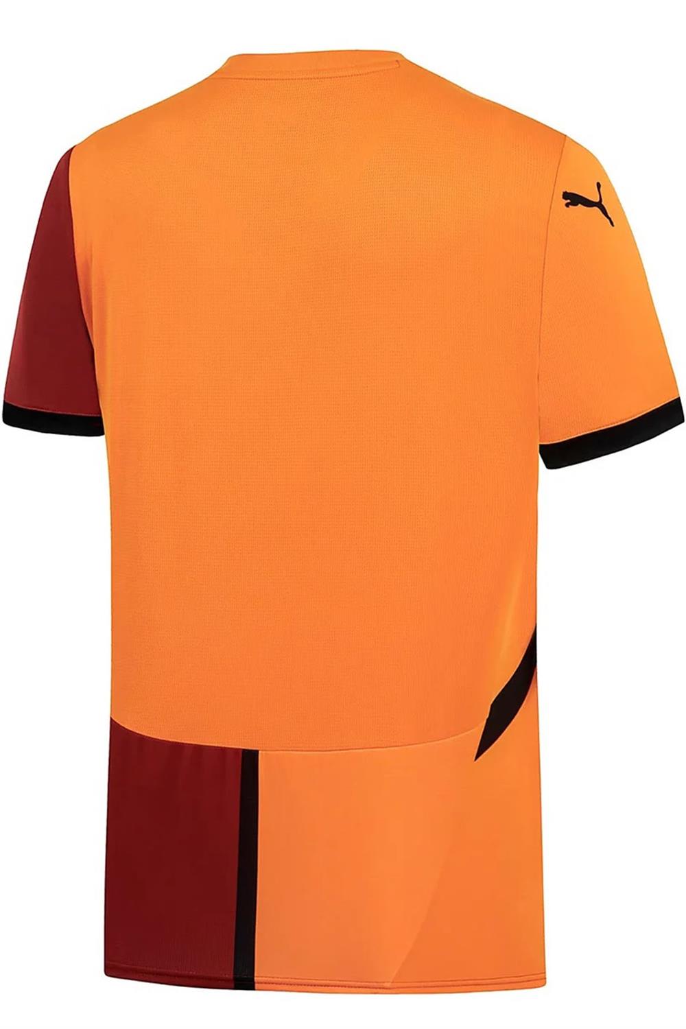 Puma Galatasaray 2024/25 Erkek İç Saha Forma 77965001