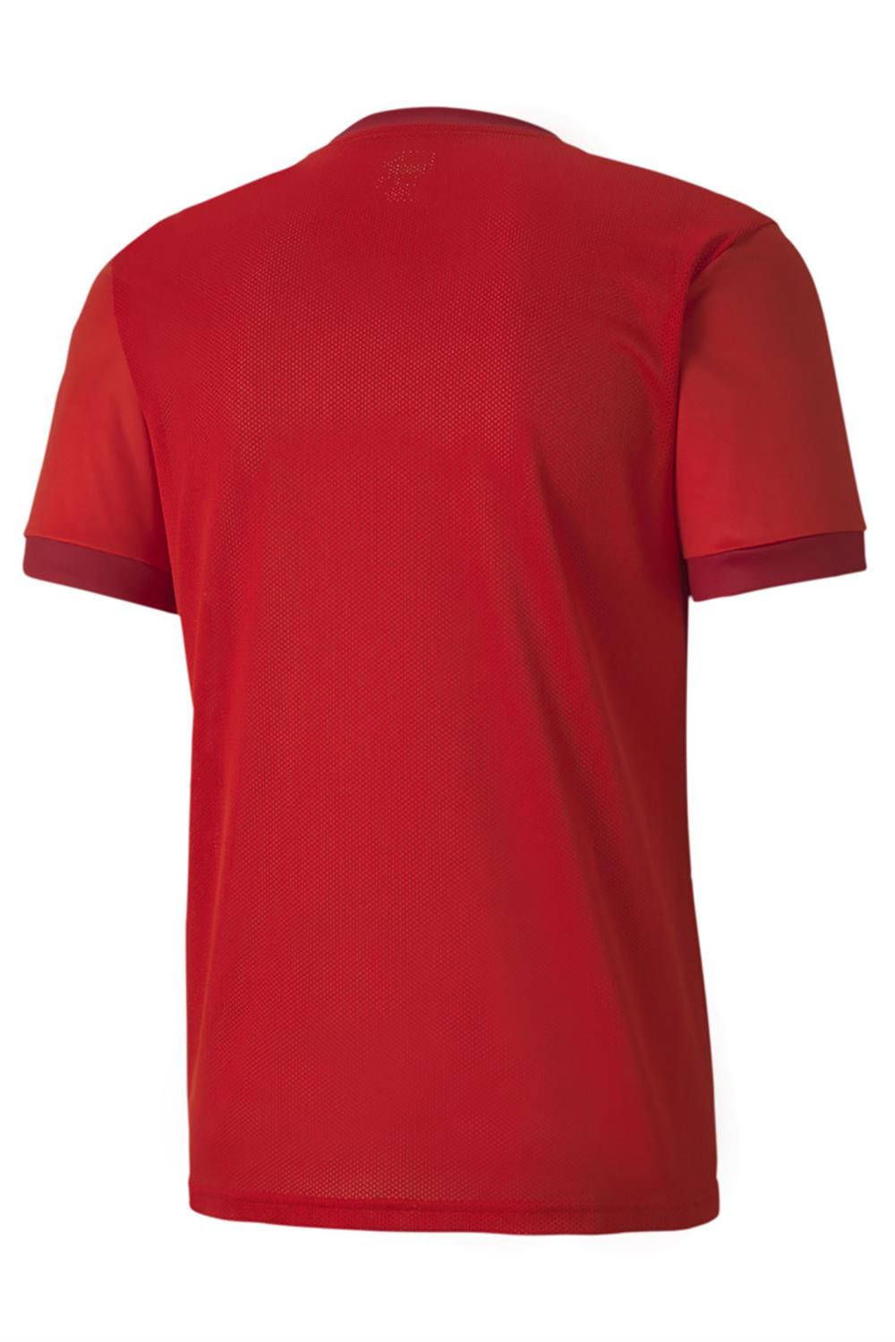 Puma Teamgoal 23 Jersey Erkek Atrenman Tişörtü 70417101