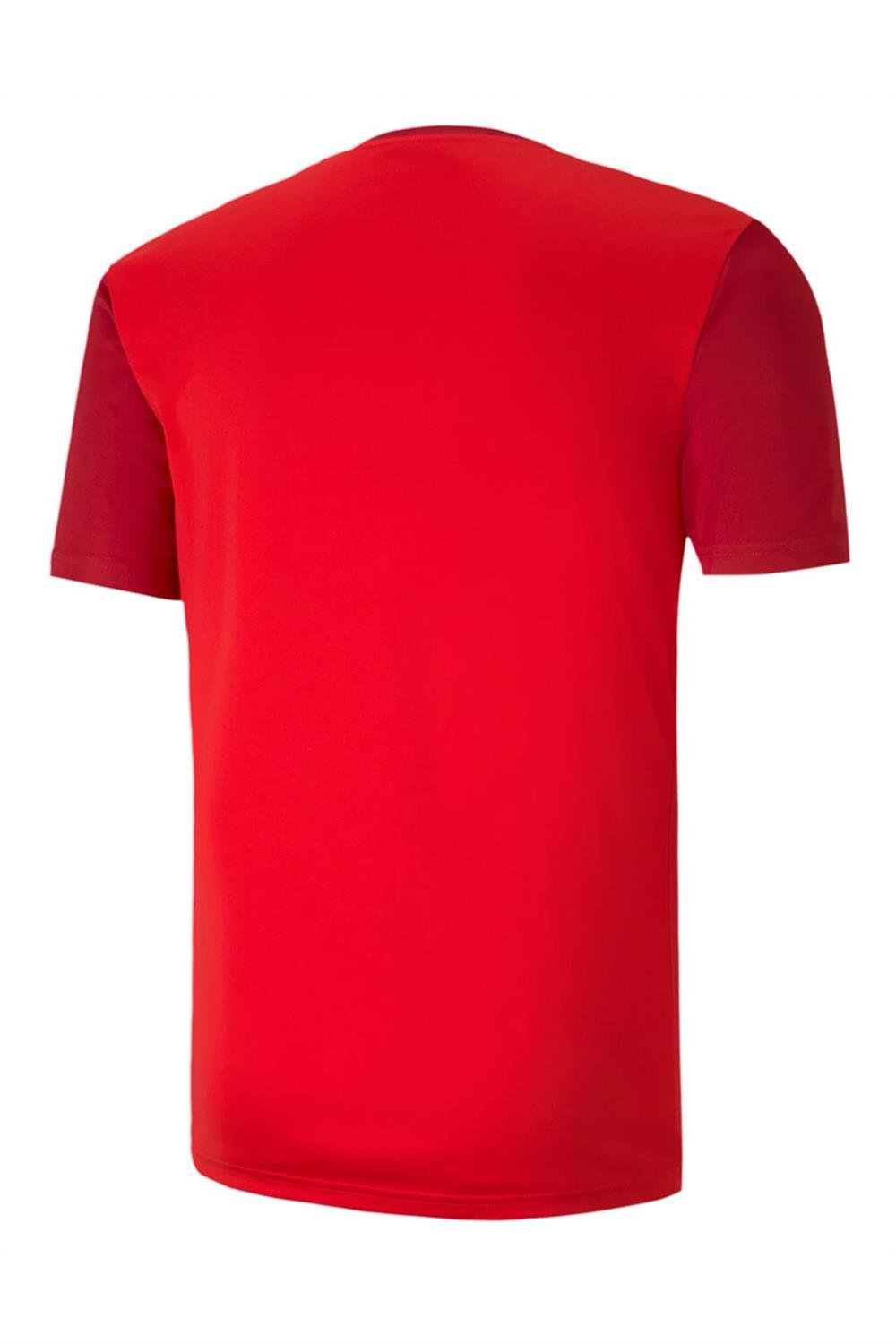 Puma Teamgoal 23 Sideline Tee Erkek Antrenman Tişörtü 65648401