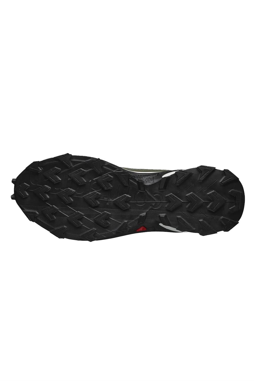 Salomon Alphacross 4 Gtx Erkek Patika Koşusu Ayakkabısı L41723000