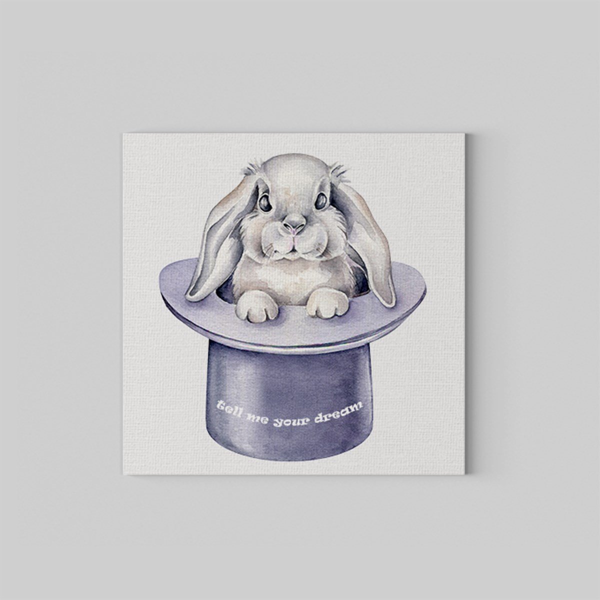  Dreamer Rabbit Kanvas Tablo