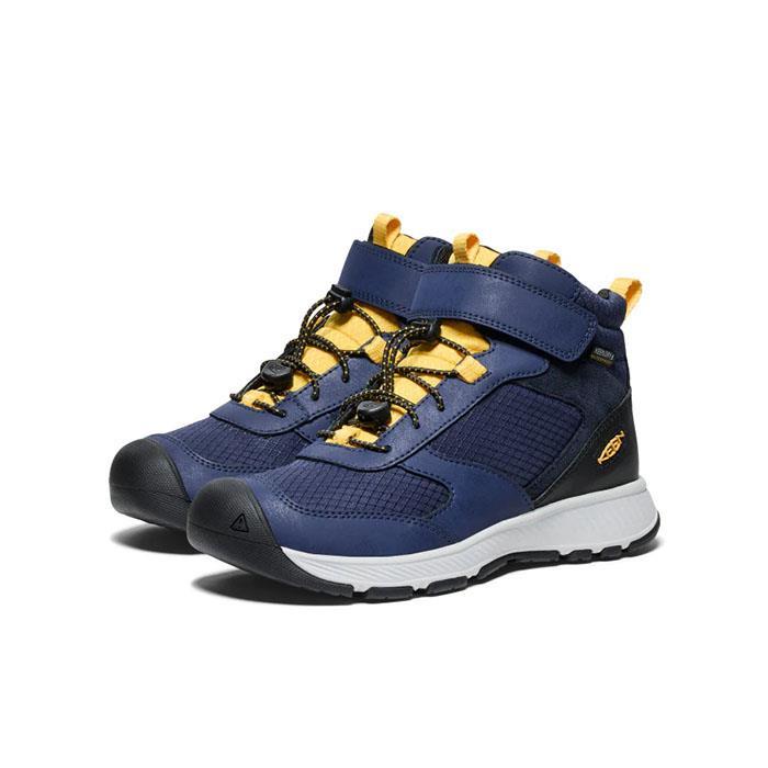 SKUA MID WP