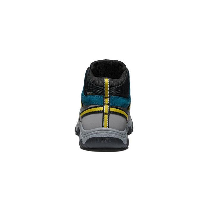TARGHEE IV MID WP