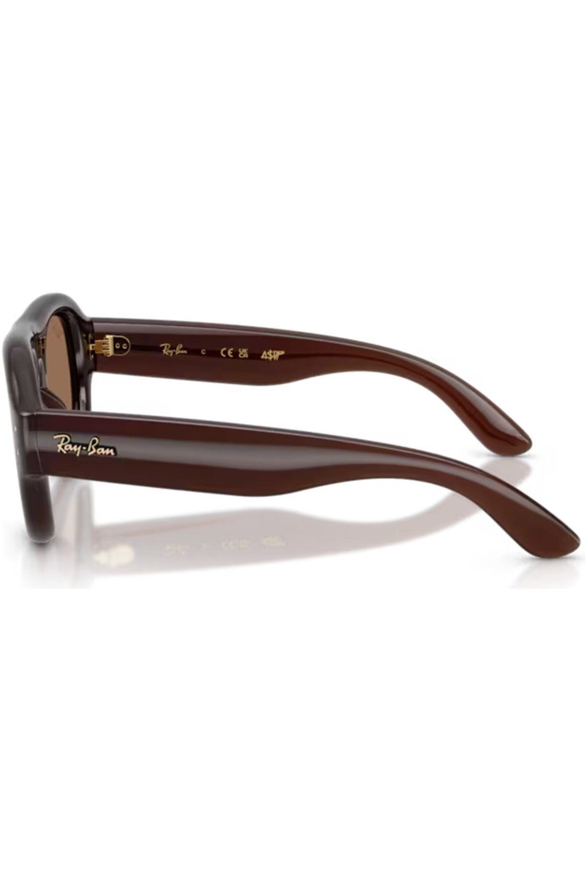Rayban 4925 6896/73 52 Güneş Gözlüğü