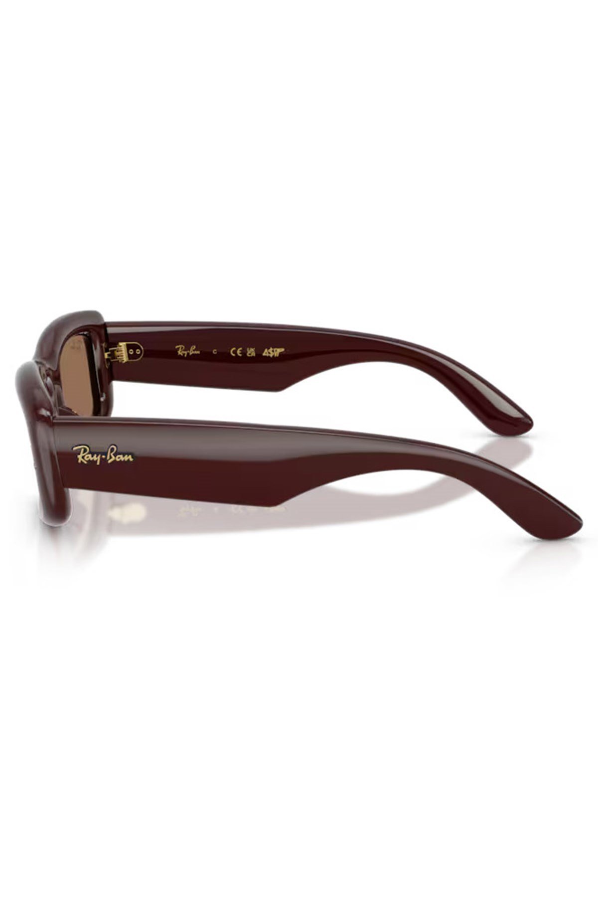 Rayban 4944 6877/73 55 Güneş Gözlüğü