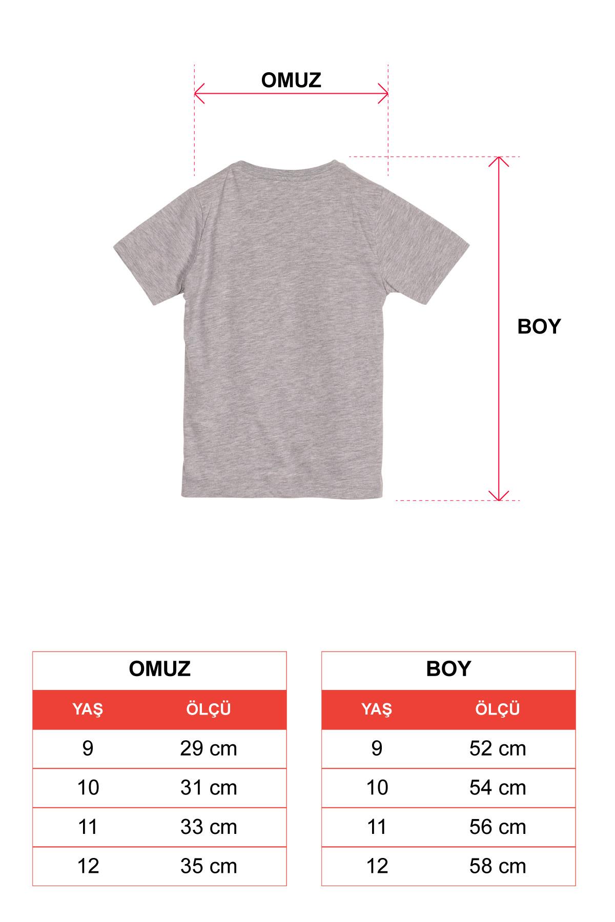 Bisiklet Yaka Kısa Kol Full Court Awesome Baskılı Gri Melanj Renk Erkek Çocuk Tshirt