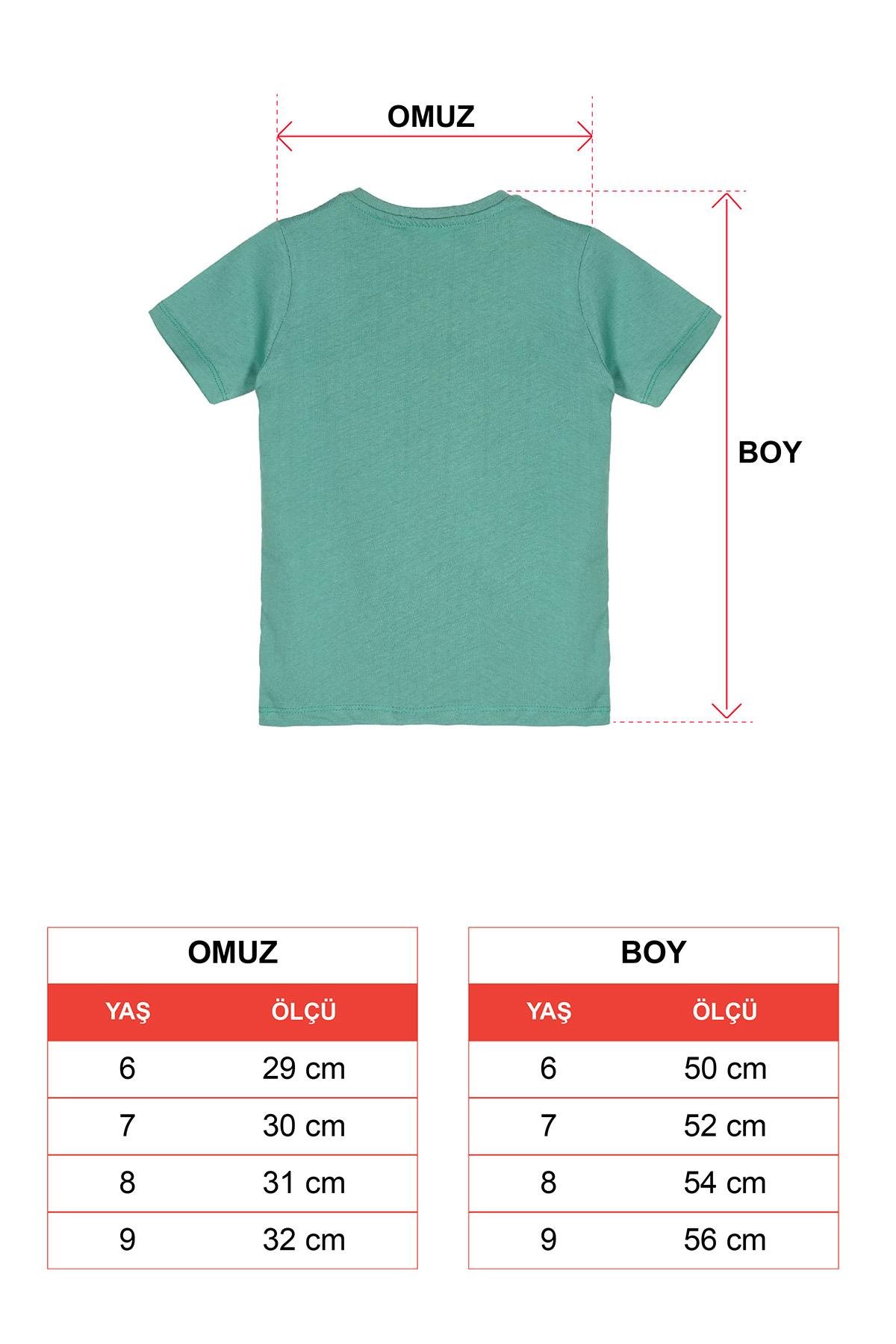 Wewe 221565 Erkek Cocuk 6-9 Yas Gemi Baskılı  Düğme Aksesuarlı Tshırt