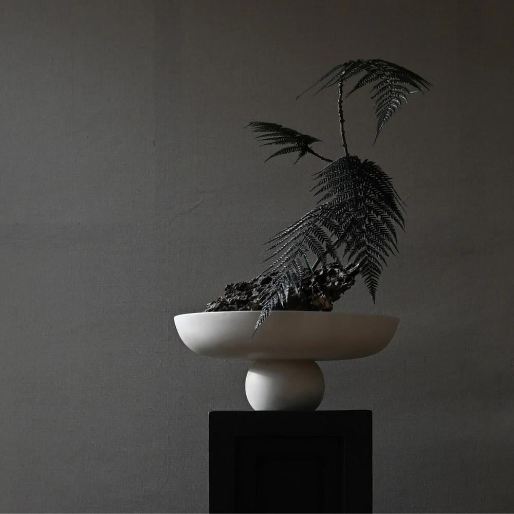 Baburu Kase - Big - Birch