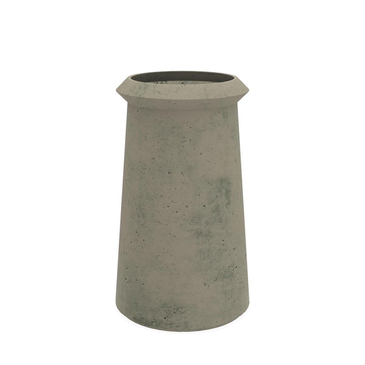 Bulbi Agapantus Vaso-Verde Foglia