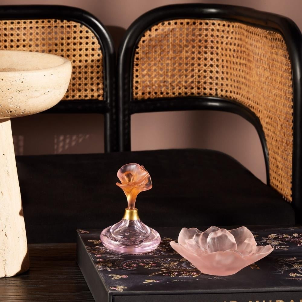 Camelia Dekorotif Kase - Rose - Small