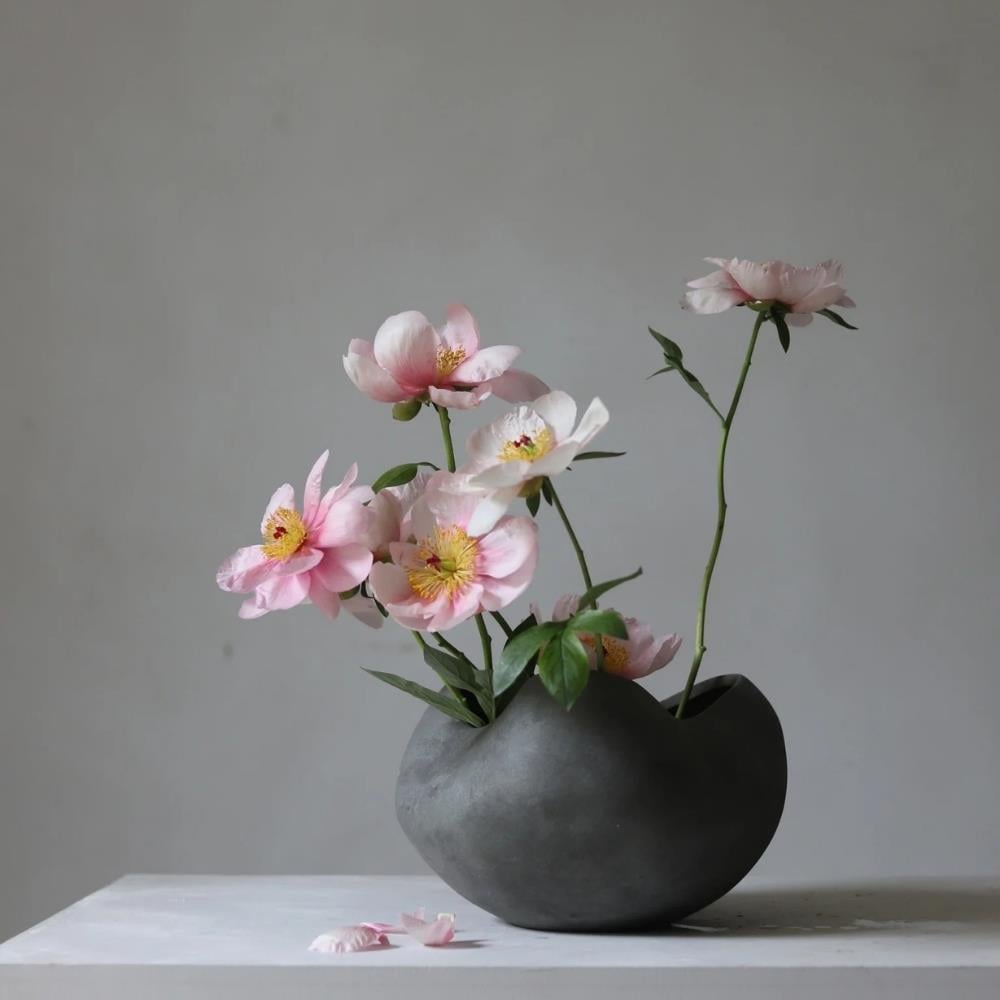 Curve Kase - Big - Dark Grey