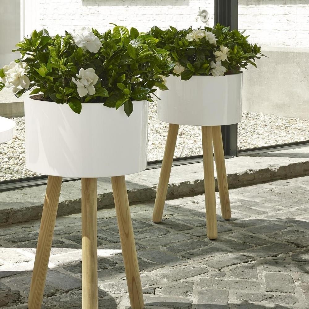 Ligne Roset Jean-Baptiste Saksı