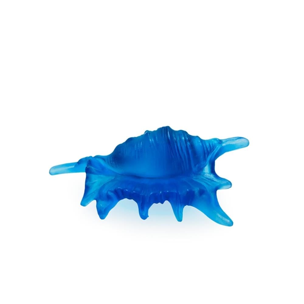 Merde Corail Deniz Kabuğu Objesi - Blue - Small