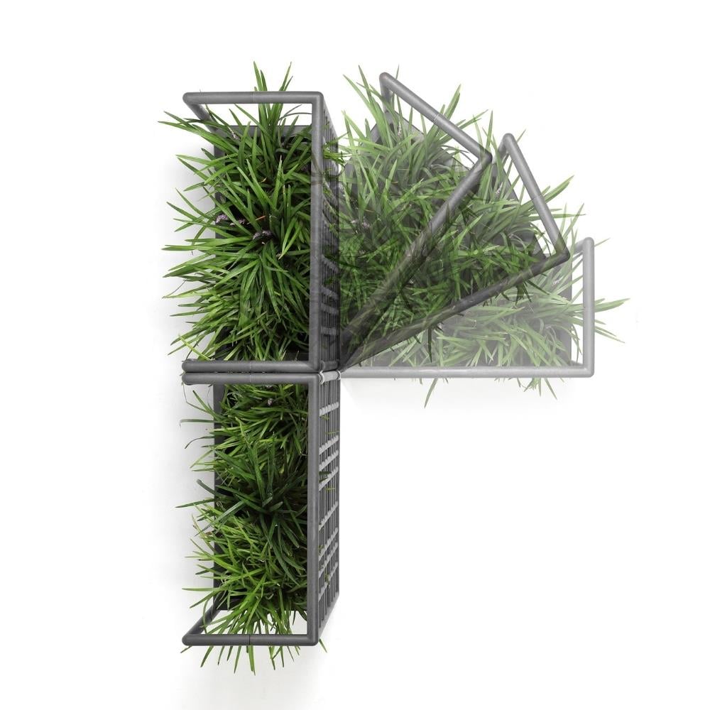 Nardi Sipario 3 Terra Saksı