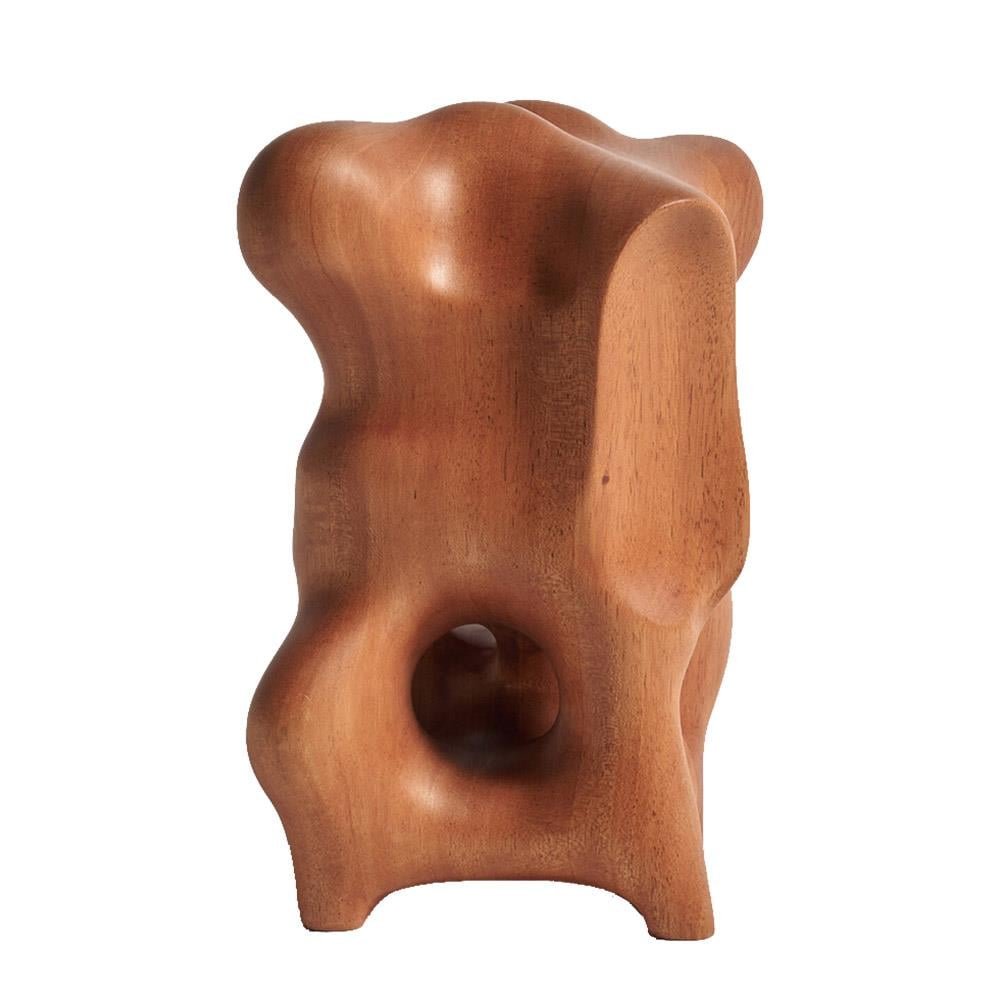 Object Natural Organik Heykel-Mahogany