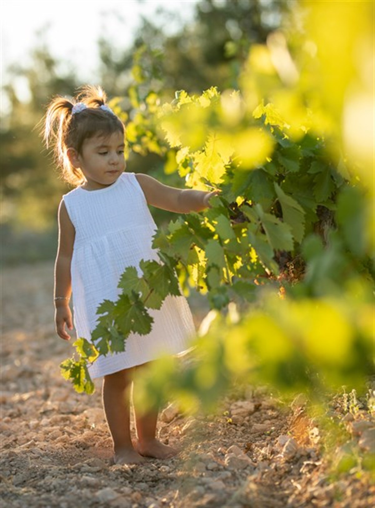 Cocoon Kids Dress 