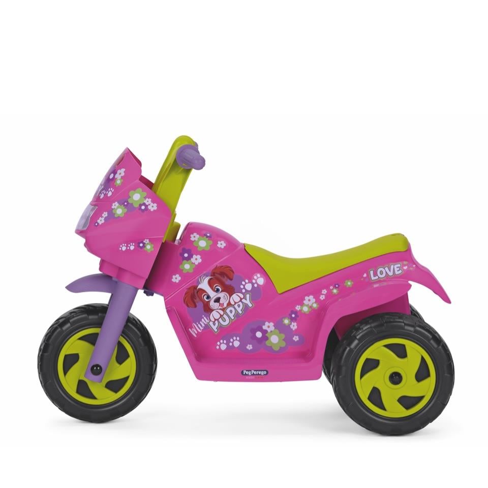 Mini Puppy 6V Akülü Motor