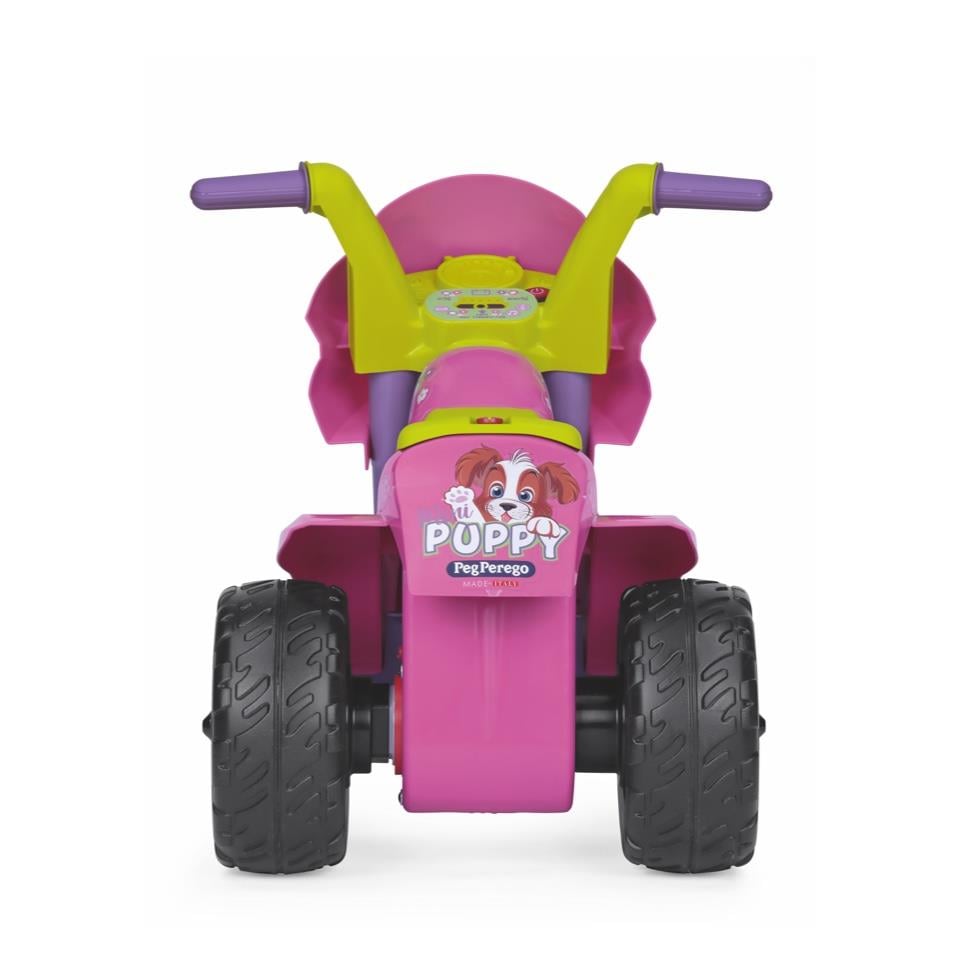 Mini Puppy 6V Akülü Motor