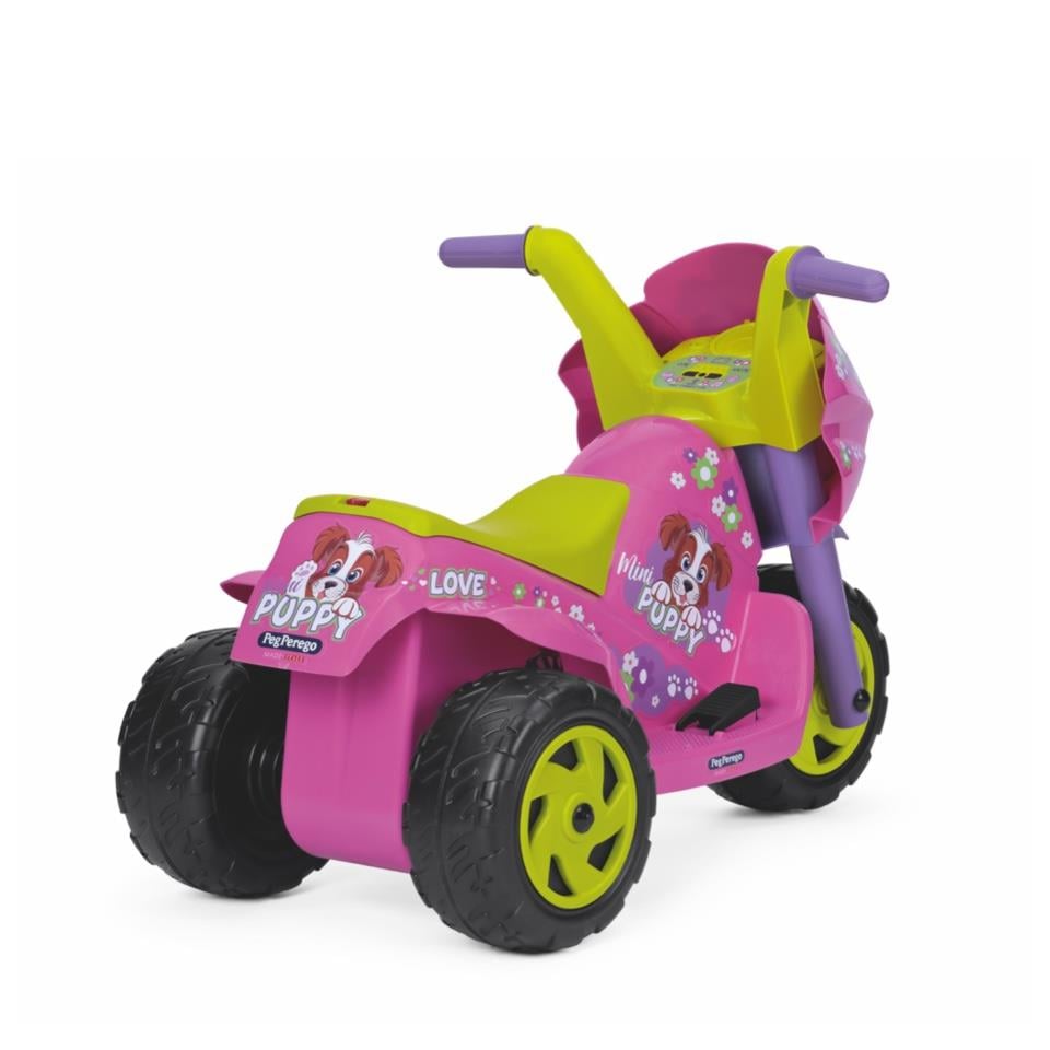 Mini Puppy 6V Akülü Motor