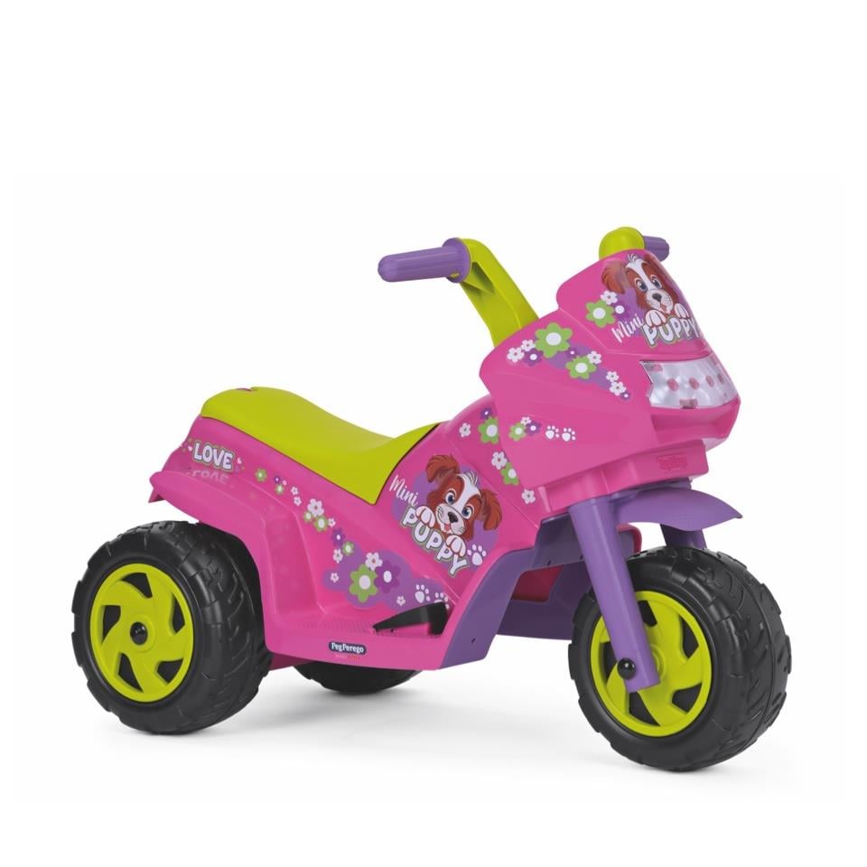 Mini Puppy 6V Akülü Motor