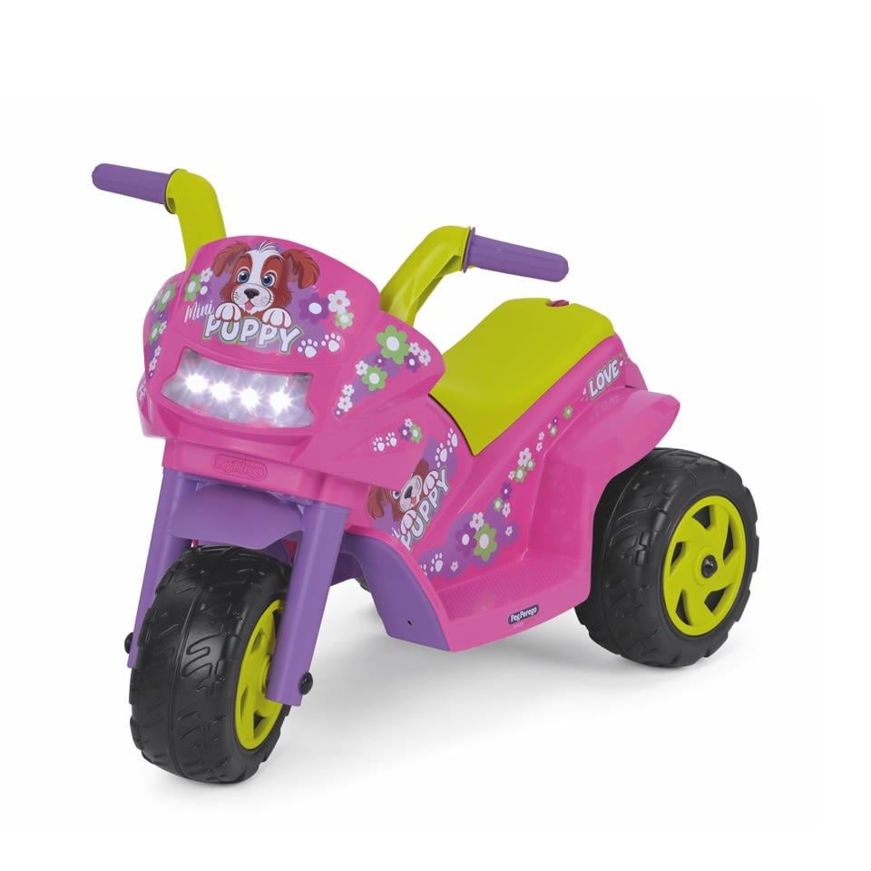Mini Puppy 6V Akülü Motor