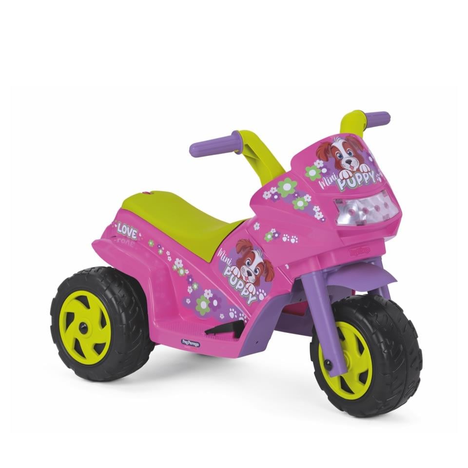 Mini Puppy 6V Akülü Motor