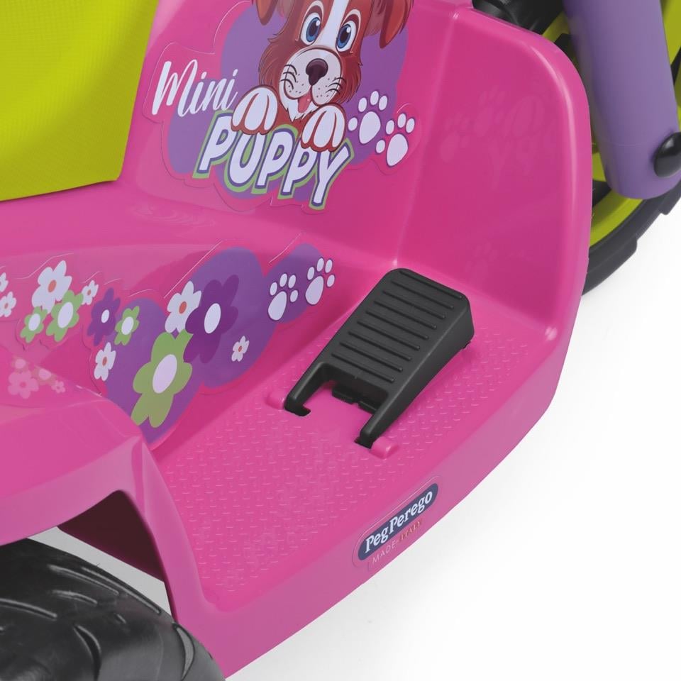 Mini Puppy 6V Akülü Motor