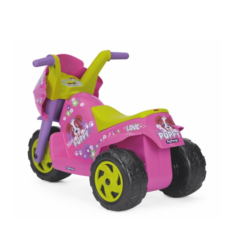 Mini Puppy 6V Akülü Motor