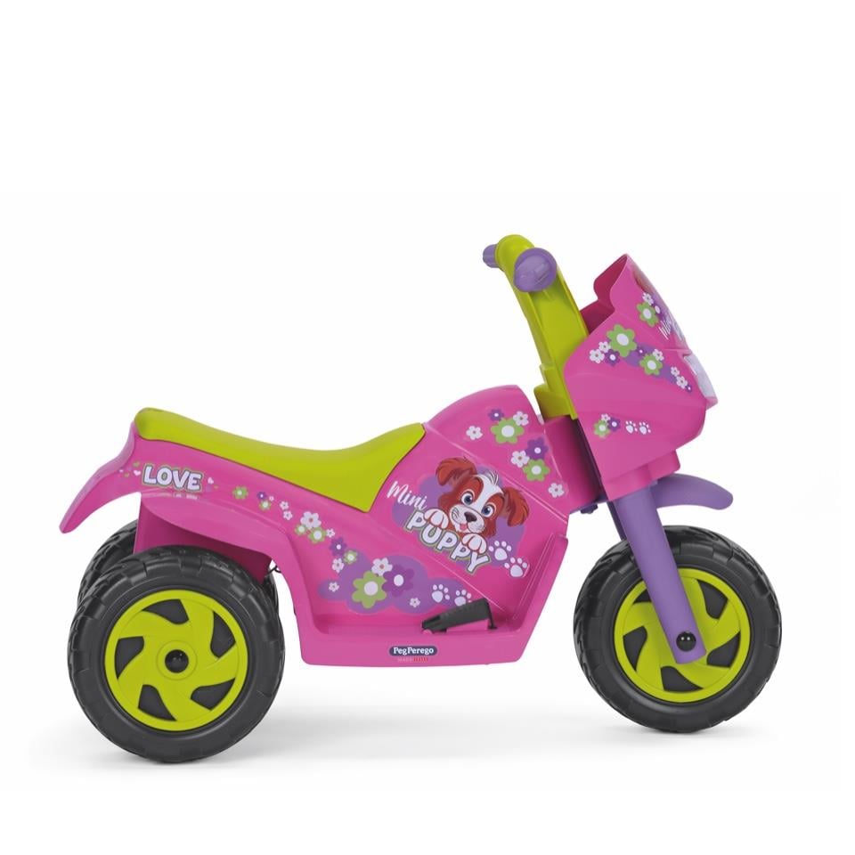 Mini Puppy 6V Akülü Motor