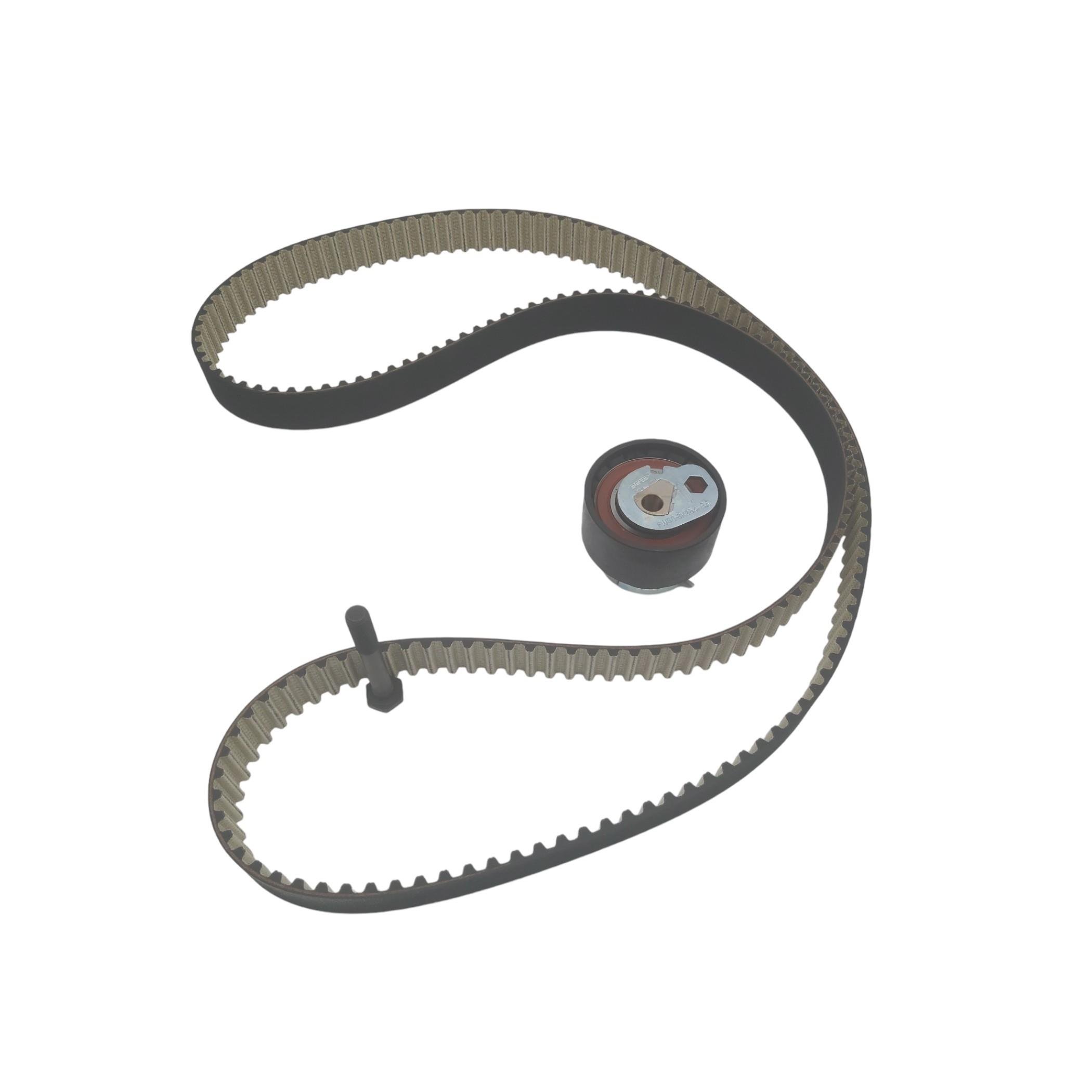 LR078913 TRİGER KAYIŞI