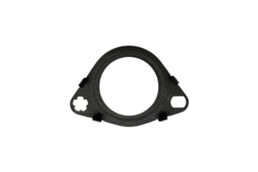 LR095555 EGR CONTASI