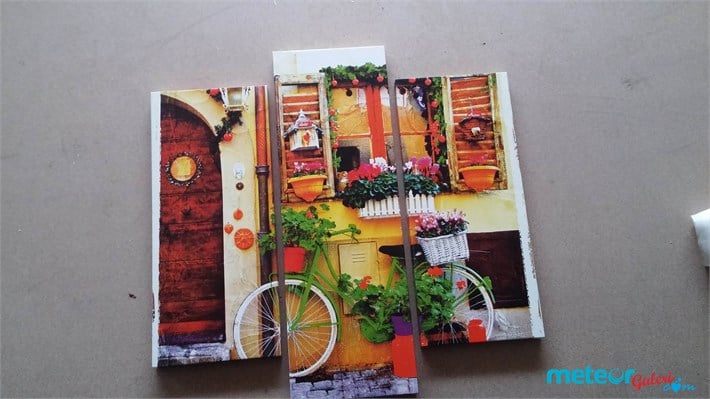 Çiçekli Bisikletli Dekoratif Kanvas Tablo