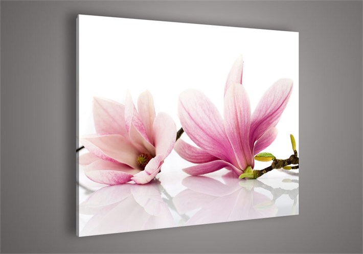Manolya Çiçekli Kanvas Tablo